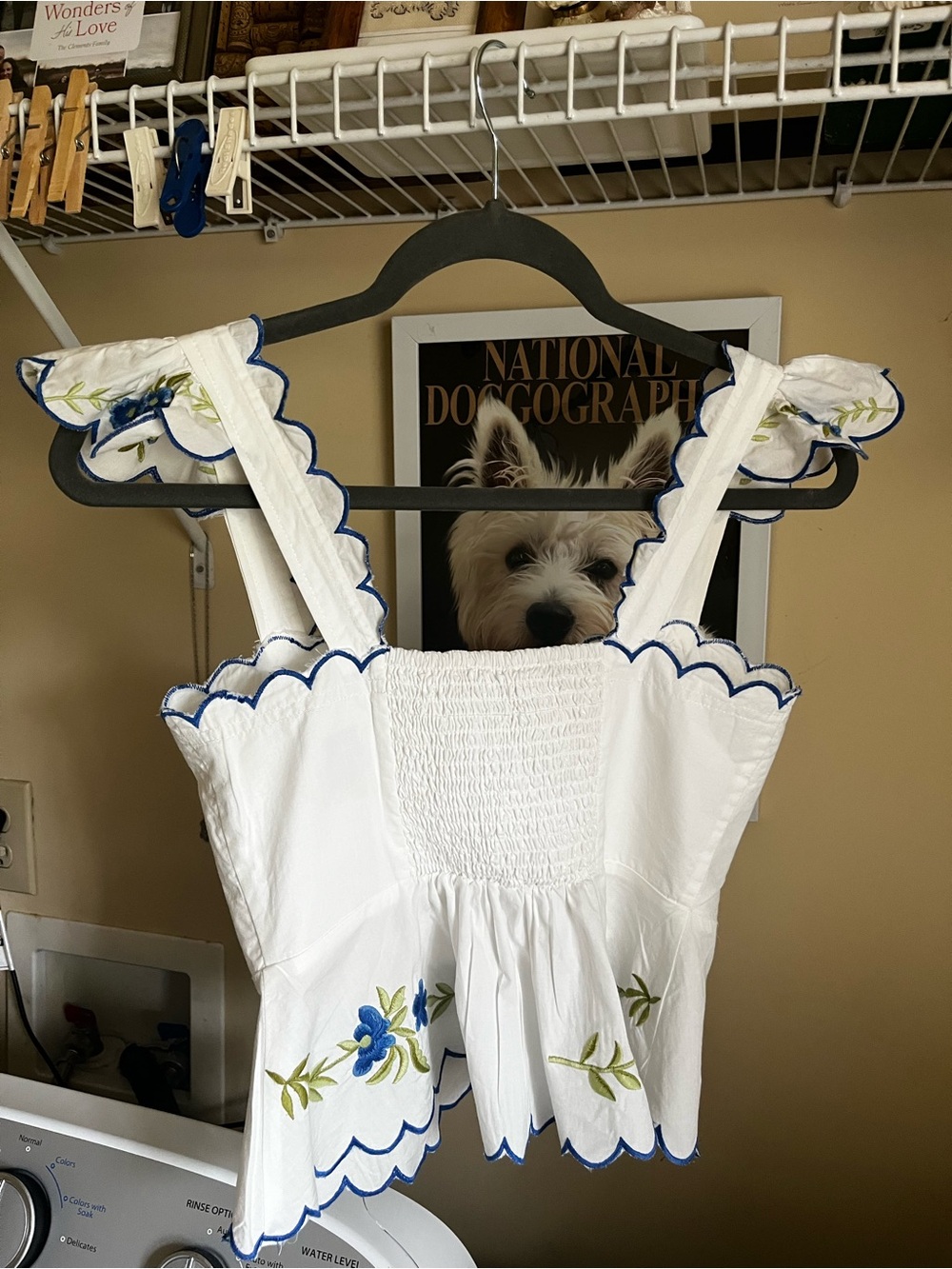 Anthropologie White with Blue Floral Embroidery - Picture 3 of 9